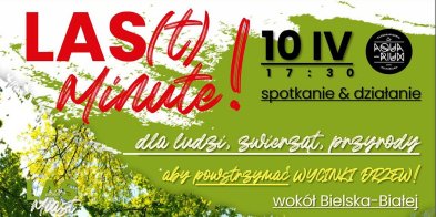 Las Wokół Miast: ochrona przyrody czy komercyjne interesy?-11117