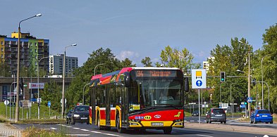 Autobusy podczas majówki w Bielsku-Białej-11498