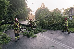 Silne burze i 26 interwencji strażaków w Bielsku-Białej i powiecie bielskim-19278
