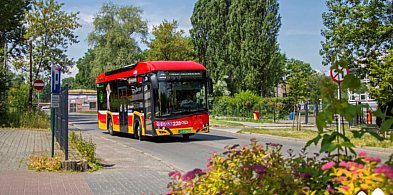 Czasowe utrudnienia w ruchu autobusów linii 2 i 35 podczas Parady Nowoorleańskiej-19628