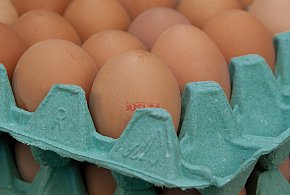 Salmonella na jajach znanej marki. Nie jedz, jeśli masz je w lodówce!-19674