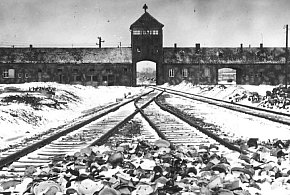 „Powstrzymaj negacjonizm” – Auschwitz-Birkenau wzywa do obrony prawdy historycznej-20230