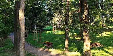 Ogródek jordanowski w Bielsku-Białej – kiedyś magiczny świat dzieciństwa-20566