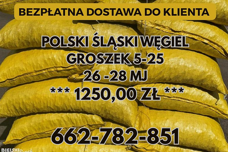 zdjecie ogloszenia