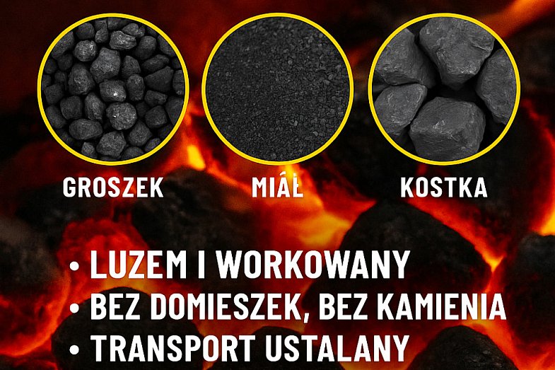 zdjecie ogloszenia