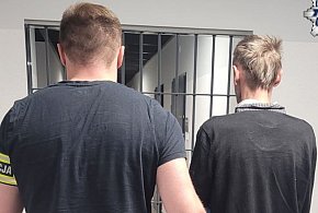 Bez prawa jazdy, pod wpływem narkotyków i z wyrokiem-21382