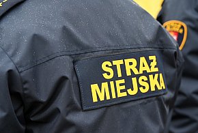 Zapuka strażnik, zapłacisz karę. Ruszyły kontrole w całej Polsce-21708