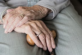 Te osoby dostaną dwie emerytury w grudniu. ZUS przesuwa przelewy-22411