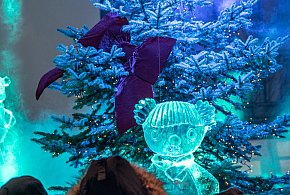 Za nami trzecia edycja "misiowego" święta-22497