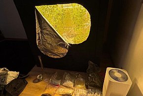 Nowy wydział w akcji. Zlikwidowano plantację i przejęto 5 kg narkotyków-22602