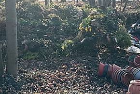 Lipnik: Przyłapany na gorącym uczynku-22806