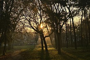 Nadchodzi najkrótszy dzień w 2025 roku. Sprawdź, kiedy przypadnie-22898