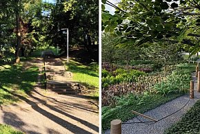 Przetarg na modernizację ogródka jordanowskiego przy ul. Wyzwolenia-22930