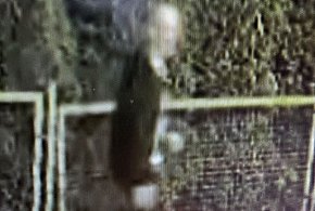 Policja szuka sprawcy nocnego zniszczenia samochodów-23239