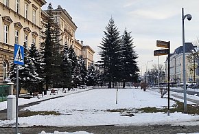 Przygotowania do przebudowy skweru Pollaka przy ulicy Słowackiego