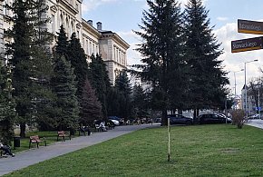 Modernizacja Skweru Pollaka w Bielsku-Białej. 7 firm zgłosiło się do przetargu