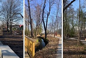 Nowa zielono-niebieska infrastruktura przy ul. Lajkonika