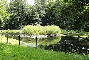 Rewitalizacja stawu w Parku Zdrojowym w Jaworzu: prace ruszyły