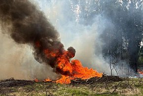 100 interwencji od początku roku - pożary traw, zarośli i lasów
