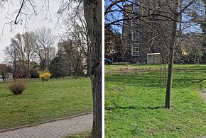 Dwa bielskie skwery do przebudowy i jeden wykonawca