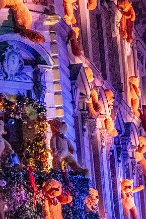 Misiowe święto na placu Wojska Polskiego-778