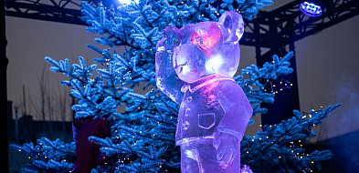 [LIST DO REDAKCJI] Echa imprezy na placu Wojska Polskiego-22503