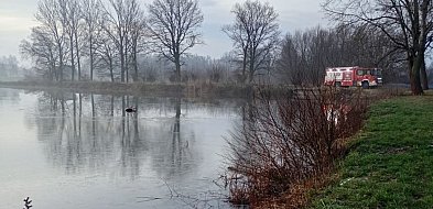 Samochód elektryczny wpadł do stawu w Dankowicach-22878