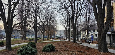 Skwer przy PCK i Sempołowskiej oddany przed terminem-23182