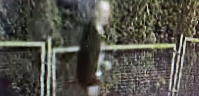 Policja szuka sprawcy nocnego zniszczenia samochodów-23239