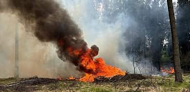 100 interwencji od początku roku - pożary traw, zarośli i lasów