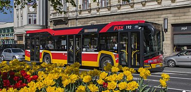 Wakacyjne zmiany w kursowaniu autobusów. Będzie nowa linia nocna i dodatkowe kursy