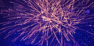 Nie dla sylwestrowej pirotechniki. Mieszkańcy Bielska-Białej wystosowali petycję