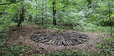 PSK2026: 12. Festiwal Ekodzieło – ekologia w praktyce i sztuka w terenie