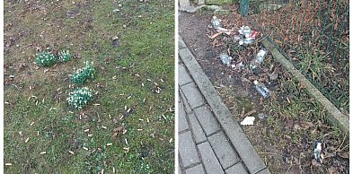 Bielsko-Biała: Jak co roku spod śniegu wyłania się wstydliwy problem