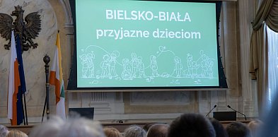 Czy Bielsko-Biała jest przyjazne dzieciom? Co się sprawdza, a co wymaga poprawy...