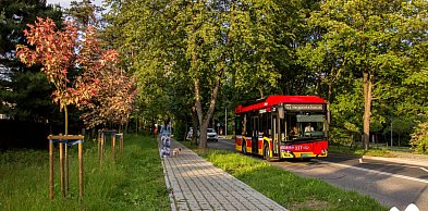 Utrudnienia w Straconce. Droga krzyżowa 21 marca 2026 r.