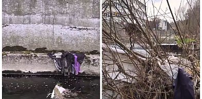 Sprzątanie rzeki Białej – akcja 11 kwietnia