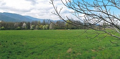Park zamiast kolejnej zabudowy? Radny pyta o teren przy lotnisku