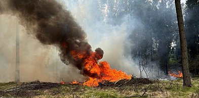 100 interwencji od początku roku - pożary traw, zarośli i lasów