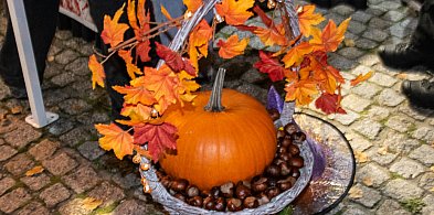 Dynia w opałach, czyli Wszystkich Świętych kontra Halloween-21965