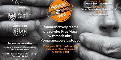 Pomarańczowy Listopad 2025 w Bielsku-Białej. Marsz przeciw PrzeMocy 25 listopada-22004