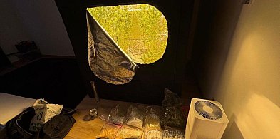 Nowy wydział w akcji. Zlikwidowano plantację i przejęto 5 kg narkotyków-22602