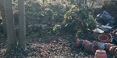 Lipnik: Przyłapany na gorącym uczynku-22806