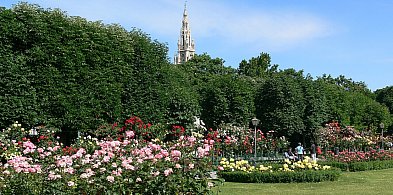 Niezwykły pomysł autora petycji. Chodzi o tereny pod Szyndzielnią-22875