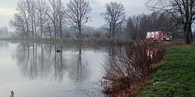 Samochód elektryczny wpadł do stawu w Dankowicach-22878