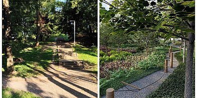 Przetarg na modernizację ogródka jordanowskiego przy ul. Wyzwolenia-22930