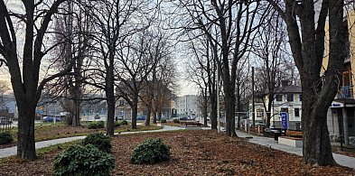 Skwer przy PCK i Sempołowskiej oddany przed terminem-23182