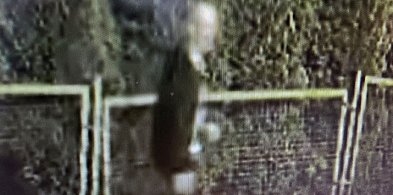 Policja szuka sprawcy nocnego zniszczenia samochodów-23239