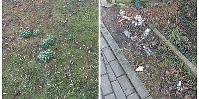 Bielsko-Biała: Jak co roku spod śniegu wyłania się wstydliwy problem