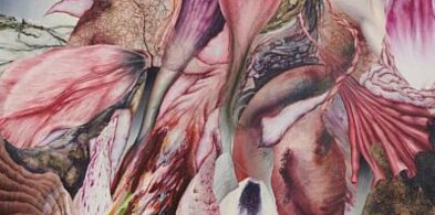 PSK2026: UKORZENIANIE w Willi Sixta